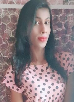 Zanra 8"XL (best cam tranny) - Transsexual escort in Colombo Photo 12 of 19
