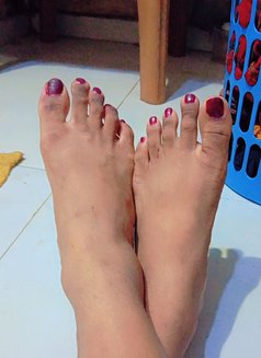 Zanra( Cam Queen‍♂️)8inches cock - Transsexual escort in Colombo Photo 16 of 18
