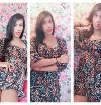 Zanra Noyel - Transsexual escort in Colombo