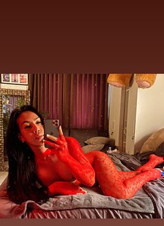 Zara Big Dick - Transsexual escort in Bali Photo 8 of 13