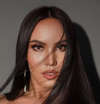 Zara Big Thai Cock! 7.5 in Bkk ! 🇹🇭 - Transsexual escort in Singapore Photo 3 of 17