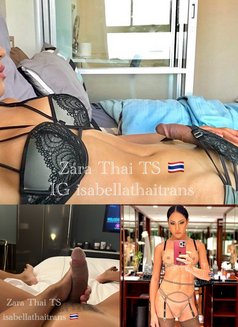 Zara Big Thai Cock! 7.5 in Bkk ! 🇹🇭 - Transsexual escort in Singapore Photo 25 of 27