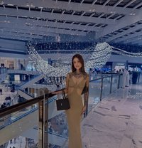 Zara - escort in Doha