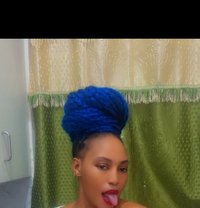 Zara - escort in Chandigarh