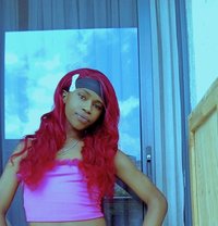 Zarah🏳️⚧️ - Transsexual escort in Nairobi
