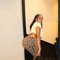 Zari - escort in Gurgaon Photo 3 of 12
