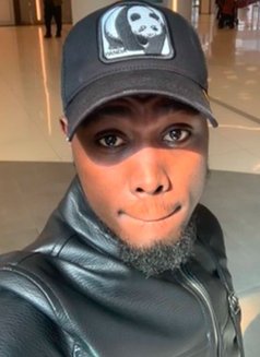 Zayn - Male companion in Phuket Photo 1 of 1