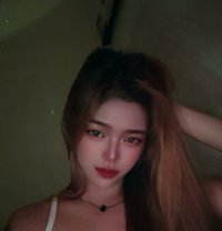 New Model Lilly (Meet, Gf Expercience) - escort in Manila