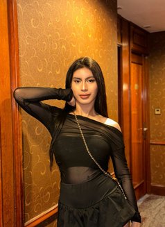 Zebbydom - Acompañantes transexual in Hong Kong Photo 7 of 9