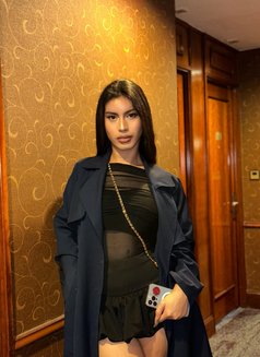 Zebbydom - Acompañantes transexual in Hong Kong Photo 8 of 9