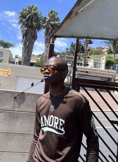 Zedd Mason - Male escort in Johannesburg Photo 4 of 4