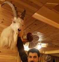 Zee1238 - Male escort in Lahore