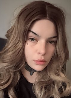 Zeeyah - escort in Dammam Photo 1 of 1