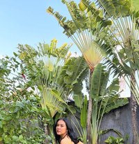 Zeeylan - escort in Bali Photo 1 of 6