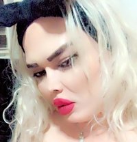 Zena - Transsexual escort in Erbil