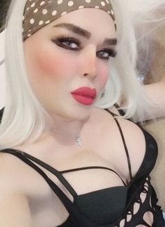 Zena - Transsexual escort in Erbil Photo 18 of 19