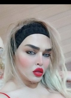 Zena - Transsexual escort in Erbil Photo 21 of 21