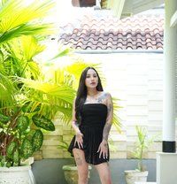 Zena New Commer - escort in Bali Photo 1 of 11