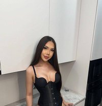 Zerine Vip - Transsexual escort in Jeddah