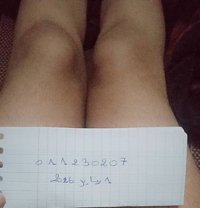 Zeziniaa - puta in Cairo