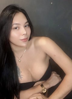 Zhashikim - Transsexual escort in Singapore Photo 9 of 17