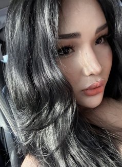 Zia Cutie - Acompañantes transexual in Manila Photo 14 of 21
