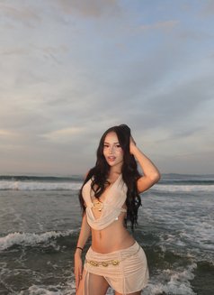 Zia Cutie - Acompañantes transexual in Manila Photo 10 of 14