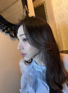 Zia 지아공주 퀴코 - Transsexual escort in Bangkok Photo 24 of 26