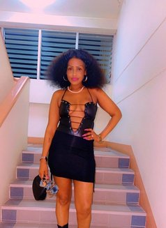 Zidi - puta in Phuket Photo 1 of 9