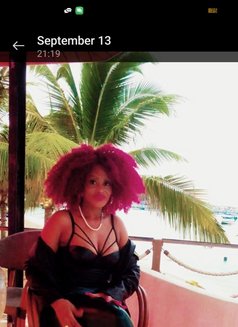 Zidi - puta in Phuket Photo 2 of 9