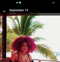 Zidi - puta in Phuket