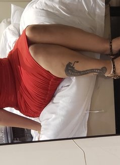 Ziena Egyptian - escort in Dubai Photo 14 of 16