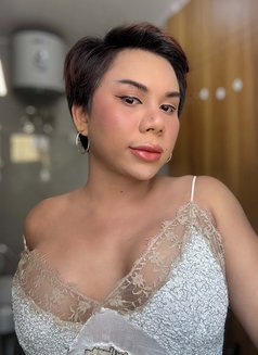 Zilin Sexy Ladyboy - Acompañantes transexual in New Delhi Photo 11 of 11