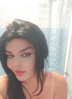 Zina shemale - Acompañantes transexual in Toronto Photo 2 of 6