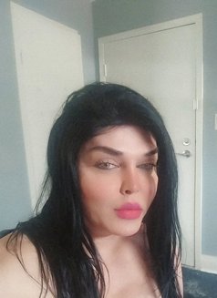 Zina shemale - Acompañantes transexual in Toronto Photo 5 of 6