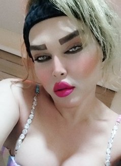 Zina Zozo - Acompañantes transexual in Erbil Photo 2 of 14