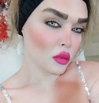 Zina Zozo - Acompañantes transexual in Erbil