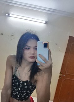 Zindy - Acompañantes transexual in Al Manama Photo 1 of 1