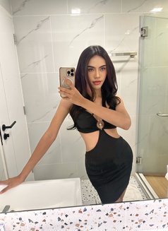 zandy - Transsexual escort in Singapore Photo 6 of 8