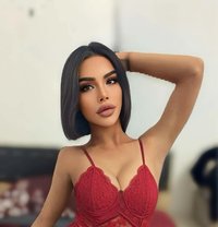 Zindy Vvip - Transsexual escort in Doha