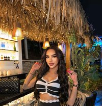 Zindy Vvip - Acompañantes transexual in Doha