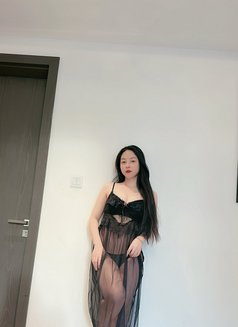 Zingzhi - escort in Dubai Photo 6 of 12