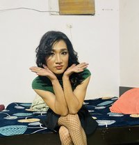 Zinta - Acompañantes transexual in Noida
