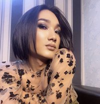 Zinta - Transsexual escort in Noida
