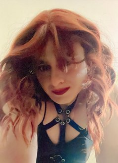 Zinxi - Acompañantes transexual in New Delhi Photo 2 of 8