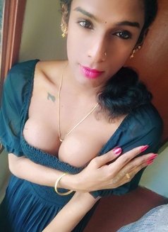 Ziya - Transsexual escort in Chennai Photo 3 of 3