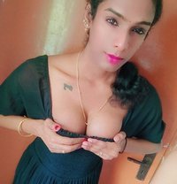 Ziya - Transsexual escort in Chennai