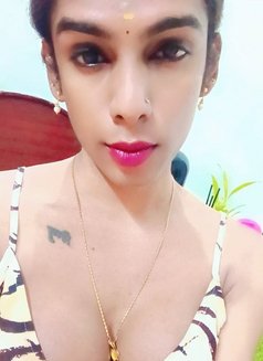 Ziya - Acompañantes transexual in Chennai Photo 1 of 6