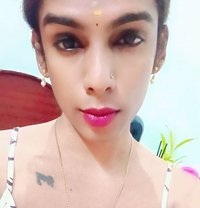 Ziya - Acompañantes transexual in Chennai
