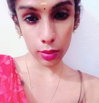 Ziya - Transsexual escort in Chennai